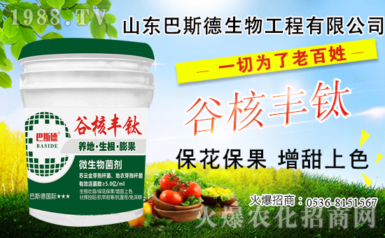 ���䶬���޼�ʲô�r����ѣ������޼���������Щ��