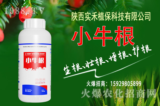 ���؅^(q��)���؃r(ji��)�������(b��o)�r(ji��)һ�[��10��29�գ�