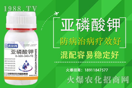 �������Ҫ��������ʲô������֮�g��ʲô�Pע��