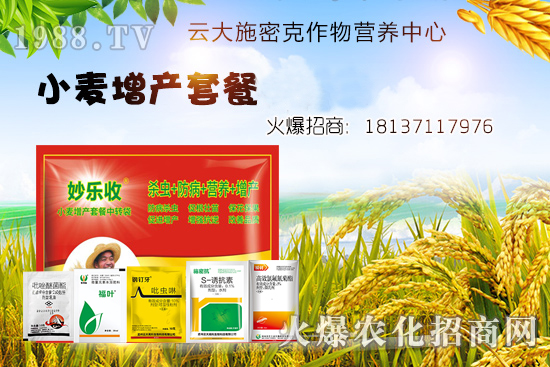 小麥播種后不出苗？是什么原因造成的？