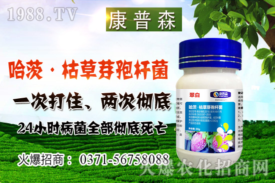 С���r��ֹ���ط�(w��n)��С���r���ܝq������