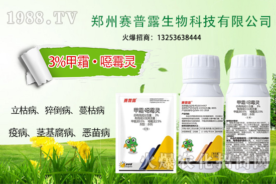 ��ʲô˪ù����⧵����װl(f��)���y������