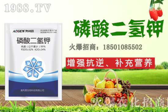 �����Ѿ���+�|̦�أ��������⛣���ʲô������