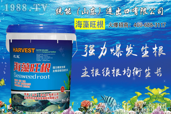 С���r��󷶇��ϝq���AӋС���r��ͻ��1.25Ԫ/��