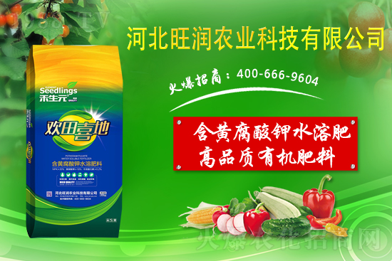 ���@����Ĥ��ô�Ч���ã����@䁷���Ĥ��Ҫ�c��