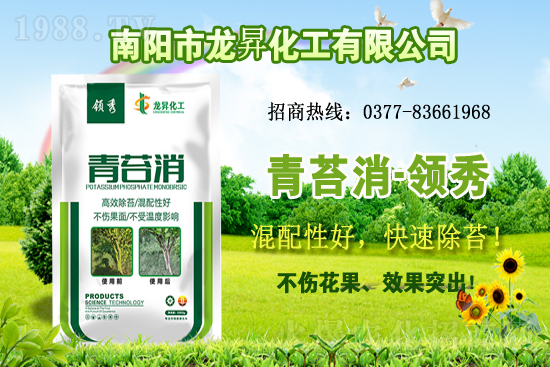 �󶹹�����(y��ng)�󣬃r����m(x��)�ϝq�����ش󶹃r������