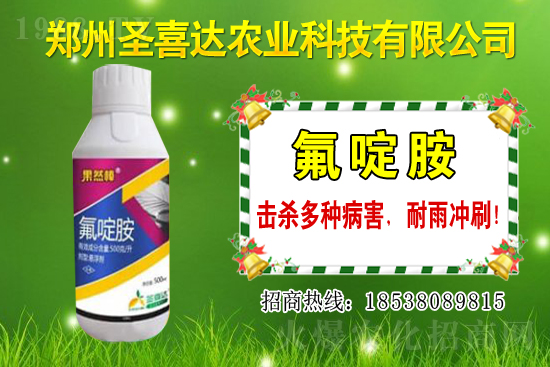 �������N��������Щ���������Ժ�ʲô�����׷N��