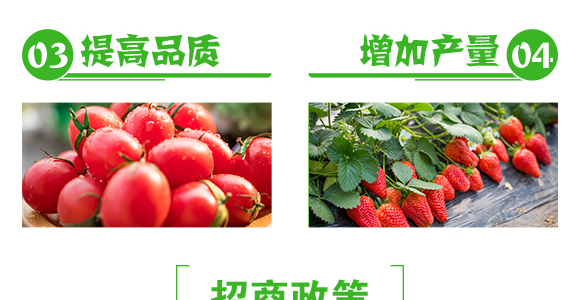 �w����-��Ч-�����r(n��ng)�I(y��)_06