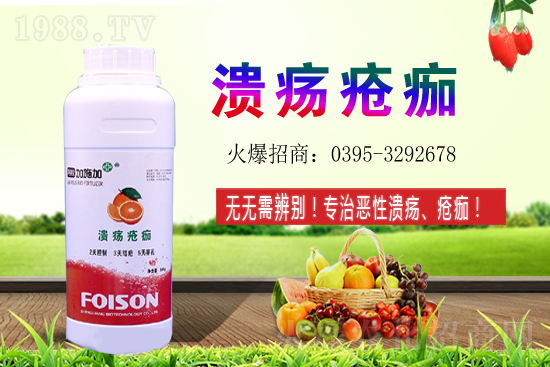 2021��ʯ��Nֲ������Σ�ʯ�������ǰ����ô����