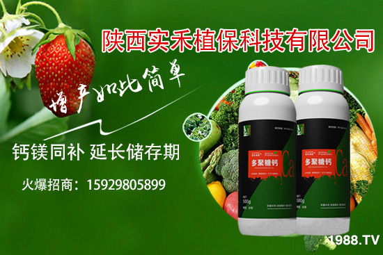 ���t�����~��ʲôԭ�����t�����~���δ�ʩ����Щ��