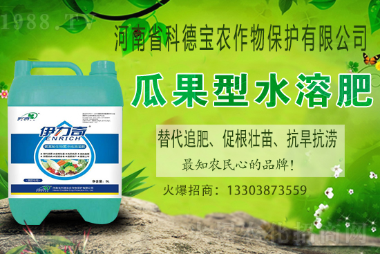 �����M��Ě��ʲô�r�����������������x�M��Ě�ȣ�