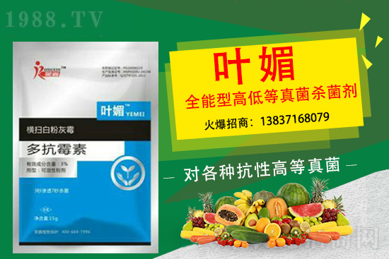 ����������(y��n)��̫�y�p������p�ɽ�Q��