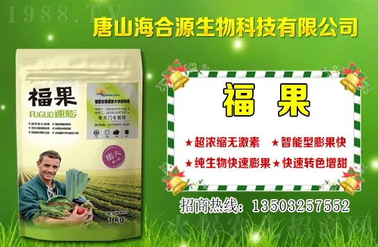 ĿǰС��?zh��n)�ُ�����Xһ�С���r�����������