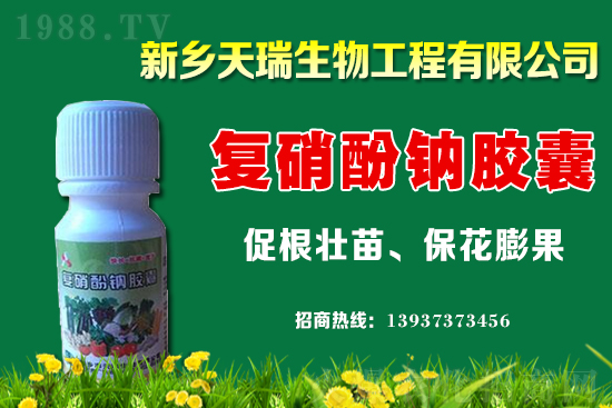 ���[һ�����ܮa(ch��n)���ٽ������[�r�����ϝq��