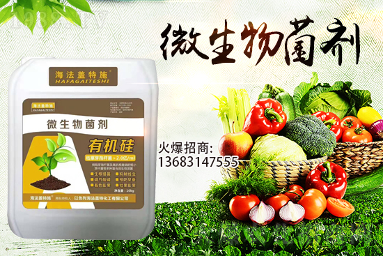 ������(l��i)�u��������m(x��)�͜�����������Ҫ�c(di��n)��