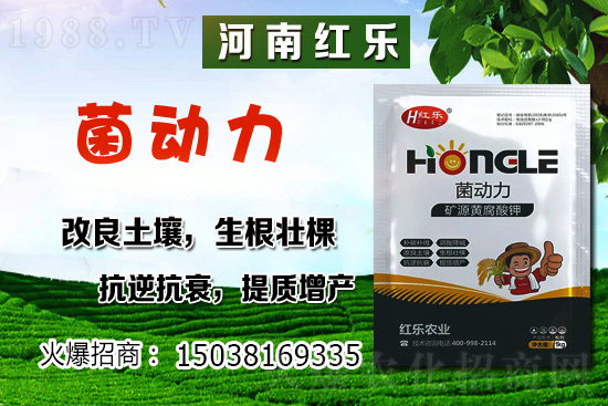 12�·��ܷNʲô�߲ˣ������߲˷Nֲ����Щ���ɣ�