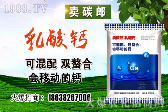 ���������^��С���r�����w��λڅ��(w��n)��