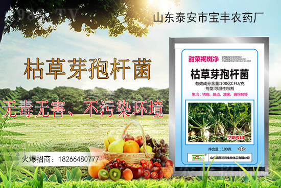 �ݲ�ѿ�ߗU���ܽ�Q������Щ���}���ݲ�ѿ�ߗU�����r(n��ng)�����ϵđ�(y��ng)�ã�