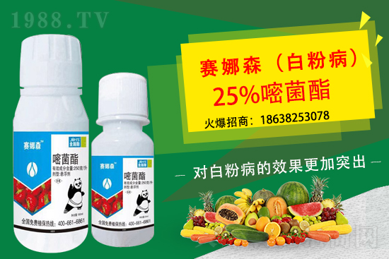 ��ݮ�׷۲����u���p�~��������ݮ�׷۲�Ҫ��η��أ�