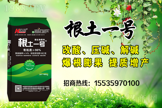     ΢��������е�΢������ʲô������΢�����������θ�����������