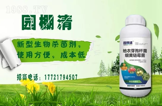 �������⛶�����Ч���Æ������������������ֲ�￹����������