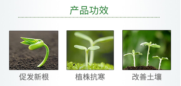 ΢�������-ϲ�r(n��ng)��-�W��ɭ_03