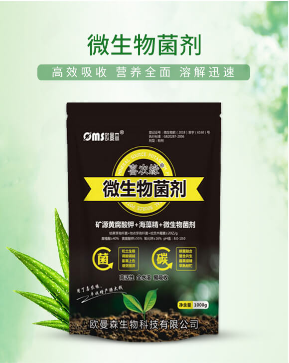 ΢�������-ϲ�r(n��ng)��-�W��ɭ_01