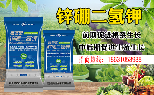 ����ƽ����ԓ���ӝ�ˮ����ʲôˮ����