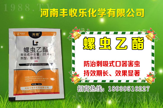 2021���޻��NֲƷ�Nԓ��ô�x���޻��x�NҪע����Щ��(w��n)�}��