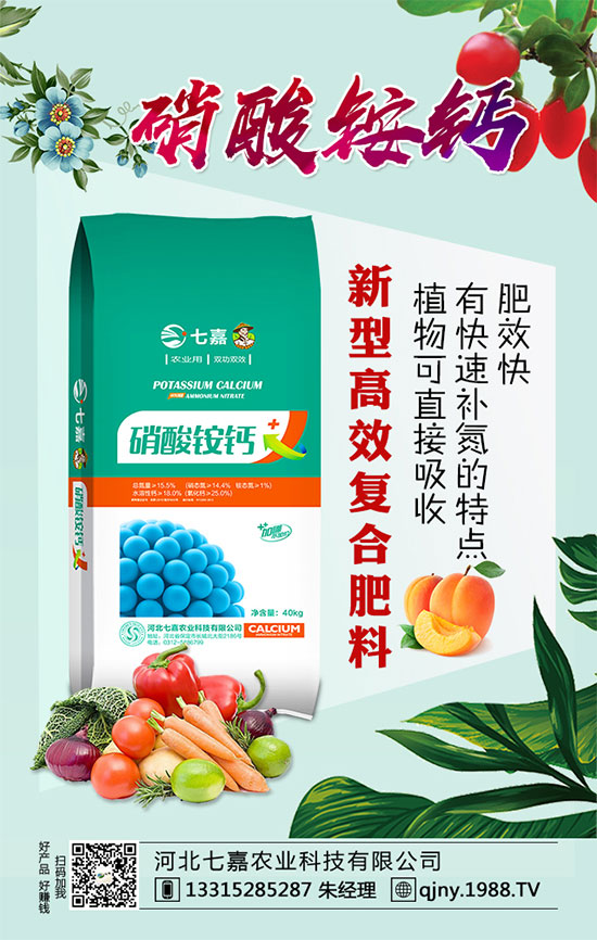 ��������������ע����Щ��헣������Nֲ���༼�g��