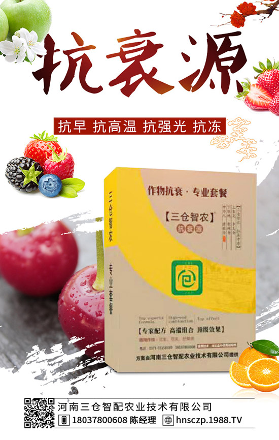 ���·��m�ϷNֲʲô�߲������·��߲˷Nֲע�����(xi��ng)��