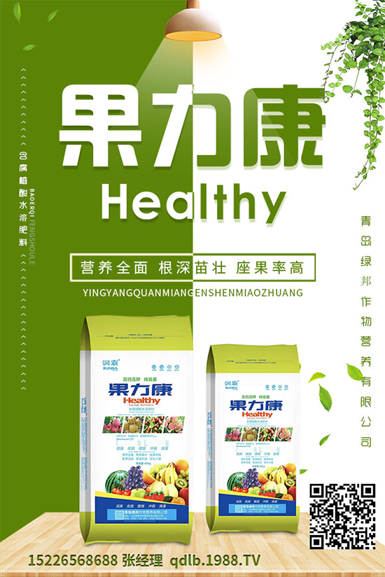 �����ĸ������g�Y���������ĸ����İl(f��)��Ҏ(gu��)�ɼ�������