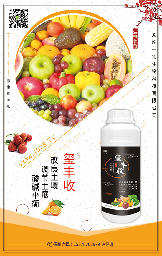 ���Ĳ�ʲô�r(sh��)�g���ࣿ���Ĳ˵�����Ҫ�c(di��n)��