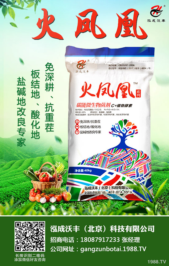 ��Ҋ�������ɺ��x����Щ���������ɺ��x���������