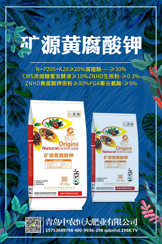 �紺���˷Nֲ���g����Щ�����g����Ҫע��ʲô��