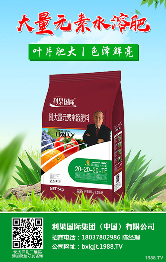 ���y���Nֲǰ�������2020���y���ķNֲǰ����Ч�����