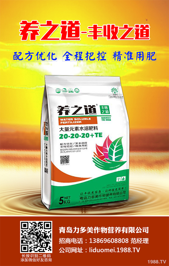 ���{��ԓ��ηNֲ�����{���߮a(ch��n)�Nֲ���g(sh��)Ҫ�c