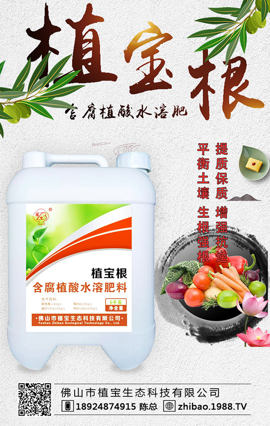 �紺���������Jʲô�r(sh��)�g�N�������J��ֲ�����Ҫ�c(di��n)��