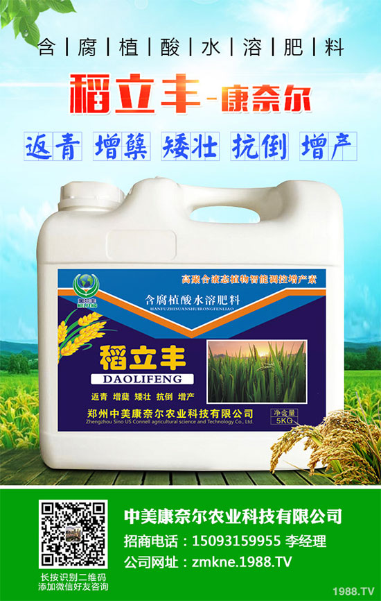 С�����·����������������ж��Ӱ푣�ԓ����a(b��)����С�����·��r(n��ng)��ָ��