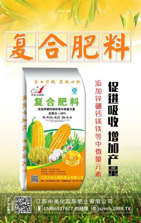 ����ʲô�r�g���磿����������������Ҫ�c(di��n)��