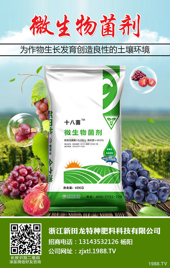 �Ϲ����Ҏ(gu��)�ɣ��Ϲϵ�ʩ�ʷ���