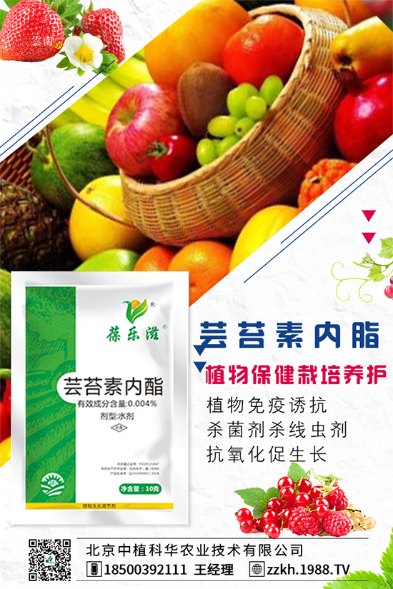 ���Ҫ��ô�Nֲ�����ˮ�ʹ���Ҫ�c(di��n)��