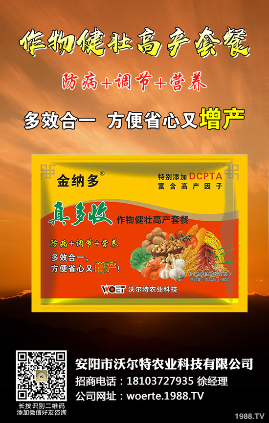 ������ô�N����������ѷNֲ�r(sh��)�g�����༼�g(sh��)��