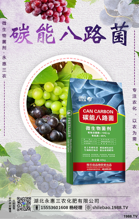 莧菜種植時間是什么時候，莧菜種植方法技術