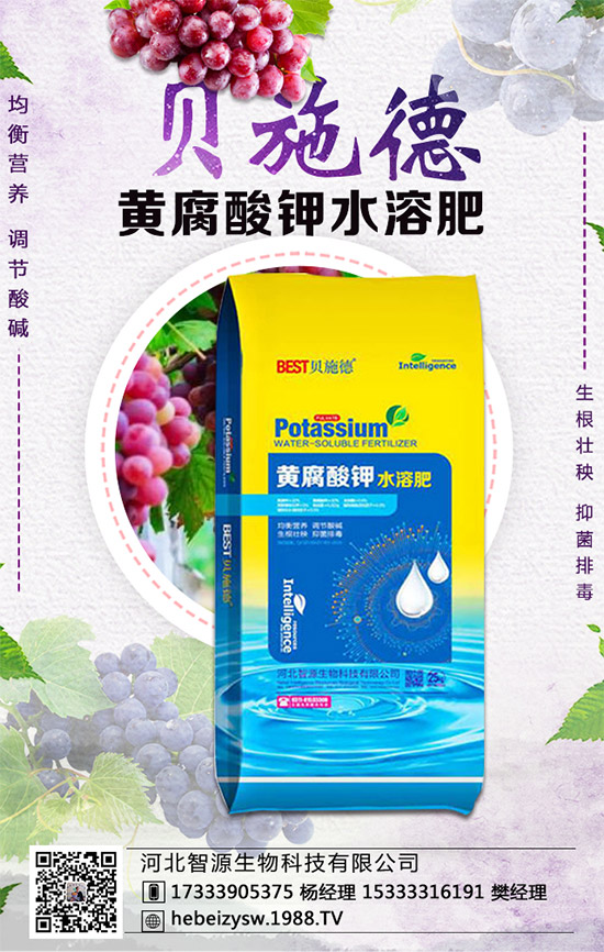 ���ϵ��������ڣ����ϲ��NҪ�c(di��n)���Nֲ�ܶ���