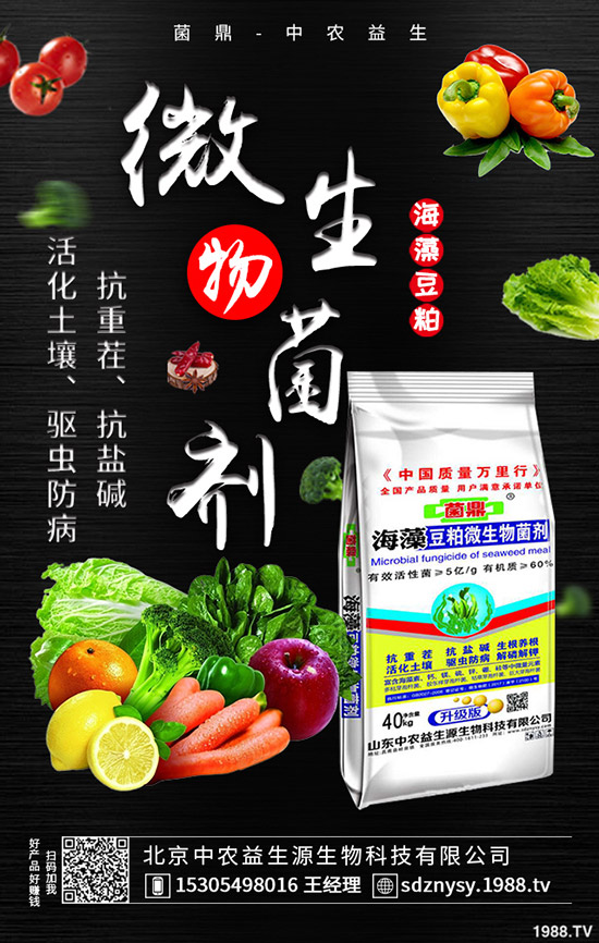     �����÷ʻ����Y(ji��)��������⛷ʃr���߄��A(y��)�y2020-4-13