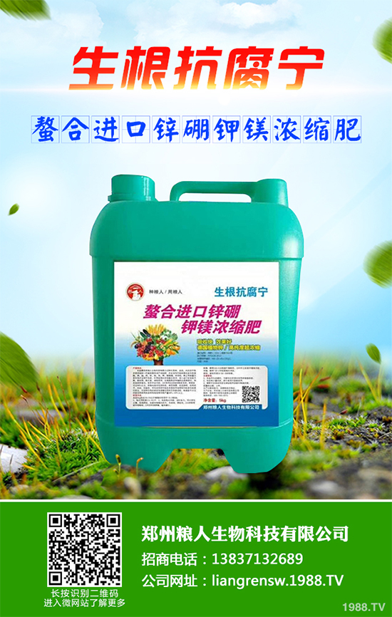 ���~��ԓ��ηNֲ����ˎ�����~��߮a(ch��n)�Nֲ���g(sh��)Ҫ�c(di��n)