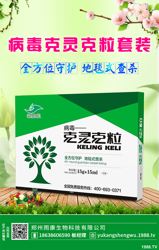 �W�ˌ�Ҫ���á���ɭ�i�\����