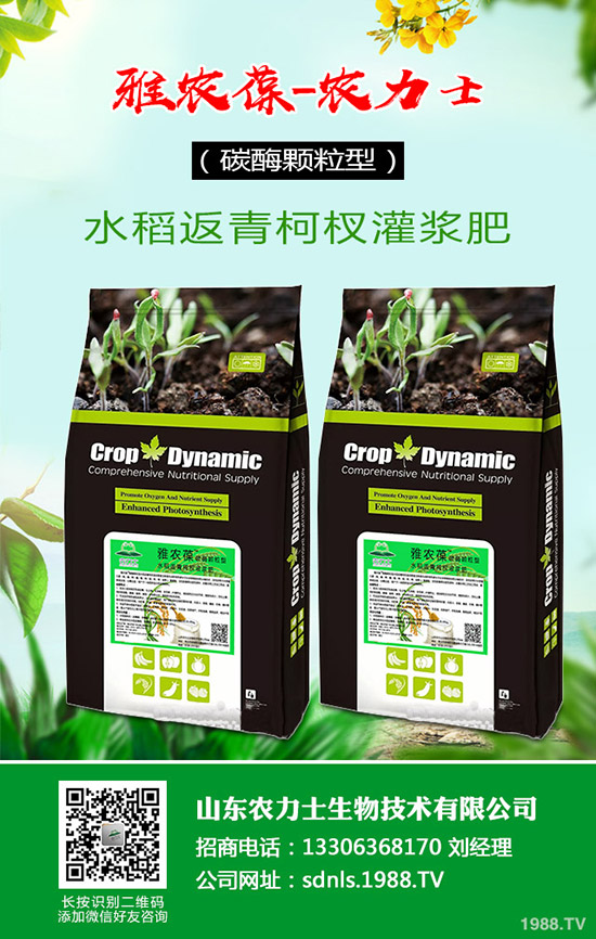     ԭ�σr�񲨄����ͺϷʳɽ��ܴ죡2020��4��14�����ͺϷ������߄ݷ�����