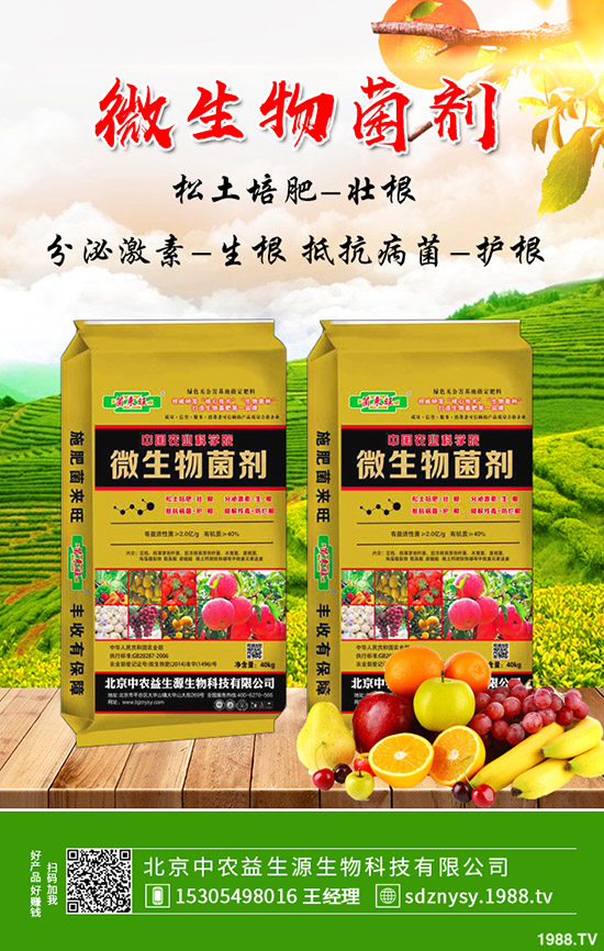     �ͺϷ��Ј���rС���µ�ԇ̽�����ͺϷʃr���������2020-4-15��